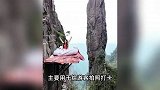 景区推出海拔1600米悬崖睡床：票价98元，主要提供拍照服务