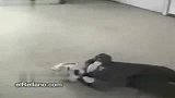 [搞笑]最会撒娇的宝宝