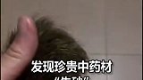 养了13年的母猪去世 猪肚发现千万遗产 奇闻趣事