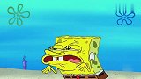 海绵宝宝：有一个活力满满的邻居，章鱼哥很头痛，自己总是遭殃！