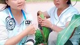 美女学外国人说英语，不料说成了这强调，笑到停不下来
