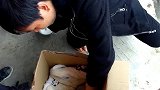在山上捡到一只刚出生被抛弃的小奶狗，用奶粉喂养精心呵护
