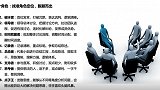 菜鸟无忧 | 8个角色：找准角色定位，脱颖而出