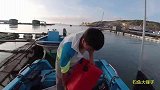 出门赶海随便钓一点鱼就卖了1490元
