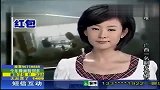 西安耗资百亿建大明宫遗址 为申遗搬移景观-8月25日