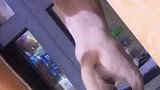 肯定外面有狗了