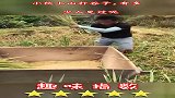 小伙上山打谷子，有多少人见过呢