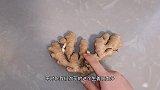生姜发芽到底能不能吃？好多人看完都震惊了！别说我没提醒你