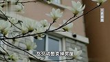 女儿将父亲赠与的房子低于市场价120万卖出，并要求买家驱离父亲，法院判了