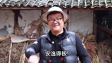 鲫鱼就应该这样吃才过瘾，掌握这几个技巧，刺都不用吐鱼刺嚼着吃