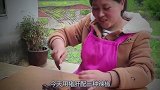 胖妹在庭院做猪肝，没想到来不速之客，胖妹一口也没吃上，生气