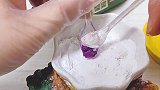 在翻车中成长！仓鼠