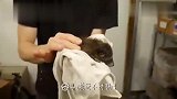 女子捡回一只猫,行为举止十分怪异,得知真相乐坏