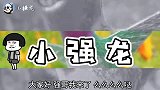 搞笑配音鹅来来来，你可劲的套，动一下算我输每日一笑欢乐有