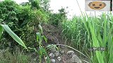 大叔钓鱼钥匙不慎掉入深坑，小明把摄像头放下一看，瞬间不淡定了