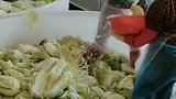 你们爱吃的酸菜