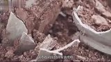 老农放羊发现神秘大洞，千年古墓被大肆盗掘，专家太开心了