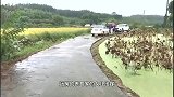 开新买的荣威去喝喜酒，路遇石墩直接断轴趴窝