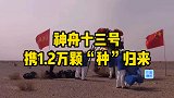 神舟十三号凯旋！携带上万颗太空种子，会给我们的生活带来啥？