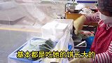 韩国老太的野菜饼，给我老家小时候做的差不多呀