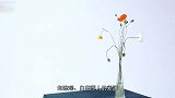 网曝赵露思称不愿与赵丽颖合作，当她说出原因后，网友表示太搞笑