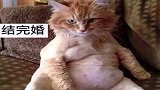 太真实了，你有这样的同款女友吗，哈哈哈