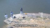 “立马我就跪那儿了”，男子钓鱼被甩钩挂中后背，当事人回应
