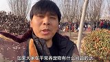 站起来一人多高的狗，和主人上演“人兽大战”！看着也太吓人了！