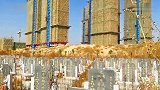 【江西】买完房才发现 楼盘宣传的千亩湿地竟是“尸地”