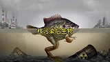 核污染到底多么可怕，受到辐射的动物变异成奇形怪状