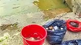 鱼验证一件事，深陷绝境也别放弃
