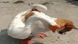 你们今生谁投错种了吗你让同类怎么想呀