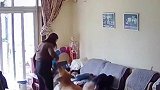 女主人假装教训男主人，狗狗仗义挺身制止