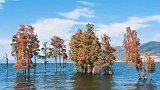 苍山洱海，山水相依