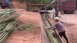 这是在做什么