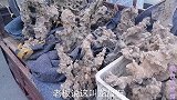 大集上这样的奇石既能装饰鱼缸，又能做盆景附石，真不错！