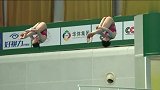 跳水北京站女双3米板施廷懋稳如泰山 携搭档王涵实力夺冠