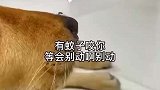 这熊孩子太让人头疼了
