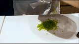 日本和果子艺术，糖果花儿两款，你喜欢绿色还是红色？