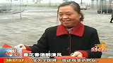 书画家进社区 送来春联送来祝福 111228 新闻现场