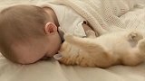 小宝宝和小奶猫在一起赖床，这是我见过最萌的画面了！