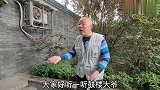 北京鼓楼大爷一针见血谈李连杰，为什么能成名，妙语连珠听着痛快