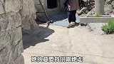 风景很美，地毯也很美。