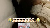 小翅膀？啥是小翅膀呀...我男朋友是肥宅大叔很抗揍