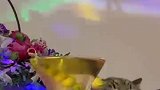 在大润发杀完鱼回家后的我....