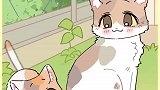 猫妈妈我是流浪猫，但我的孩子不是