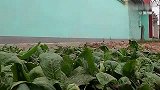 家里聚在一起包饺子：包的是开心，是习俗，更是时过境迁的回忆！