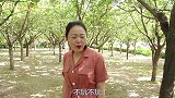 猜字谜：此字不难猜，孔子猜三天，打一字，没想小伙把骗子气跑了