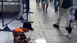 原来国外也并那么发达，连小孩子都来街头卖艺，一切都是为了生活
