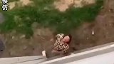 这么聪明的男友，哪里找